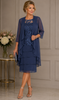 Chiffon Layered Dress and Jacket 489