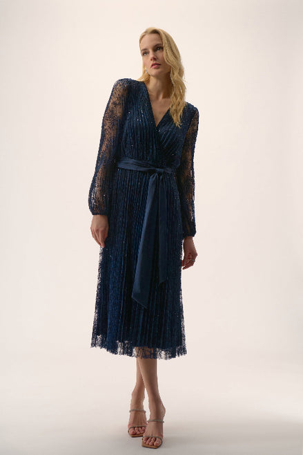 Sequined Pleated Lace Fit and Flare Dress