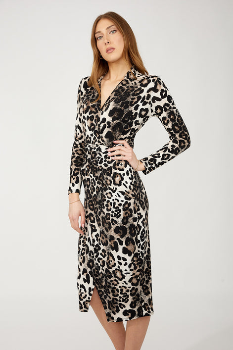 Animal Print Wrap Dress