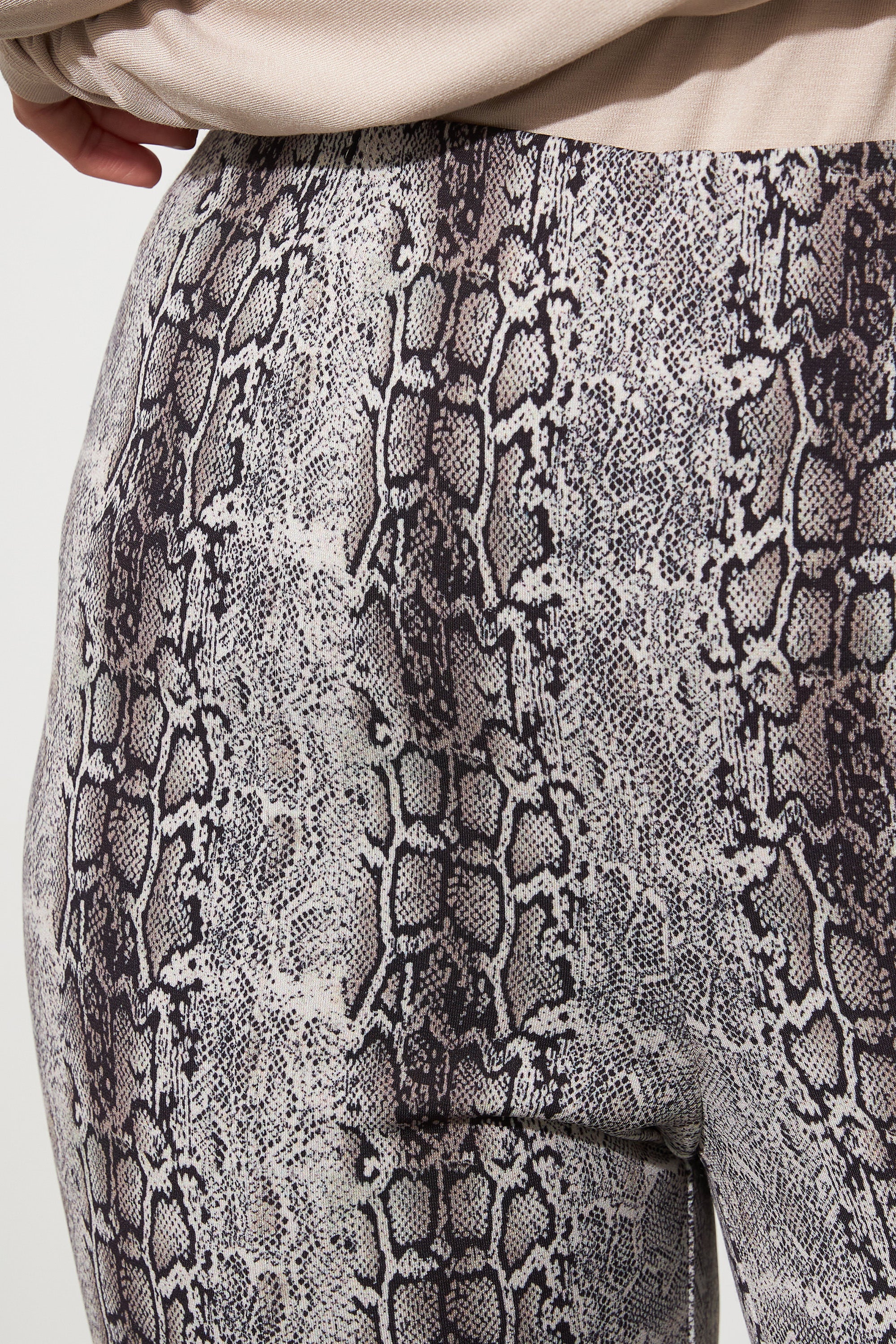 Fitted, Ankle Length Pants with Reptile Print